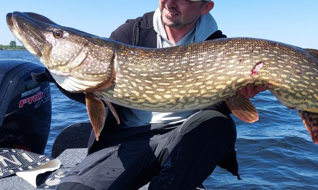 Kunstaas estafette – Top 3 kunstaas voor snoek van Jeroen Eijssens