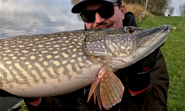 Kunstaas estafette – Top 3 kunstaas voor snoek van Calvin Clerc