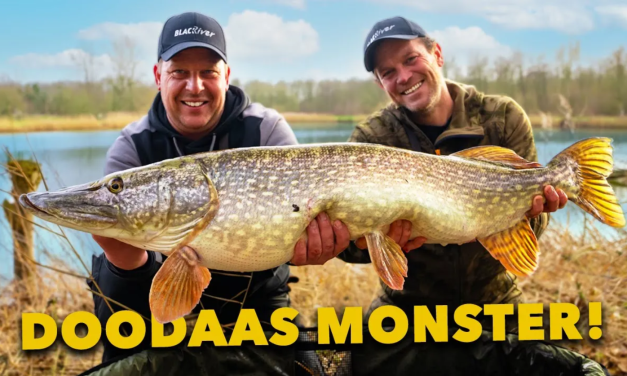 ***VIDEO*** MEGA METERSNOEK op DOOD AAS!!! Low Budget met de DOBBER en STATISCH!