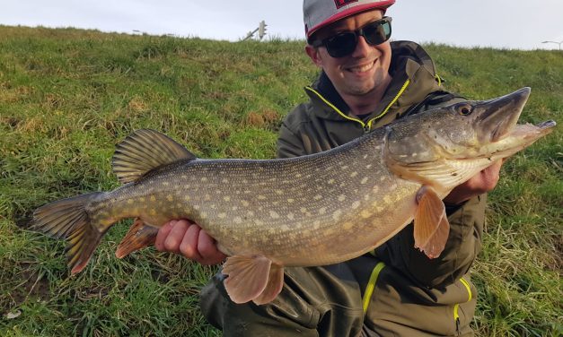 Hit & run – snel snoek vangen!