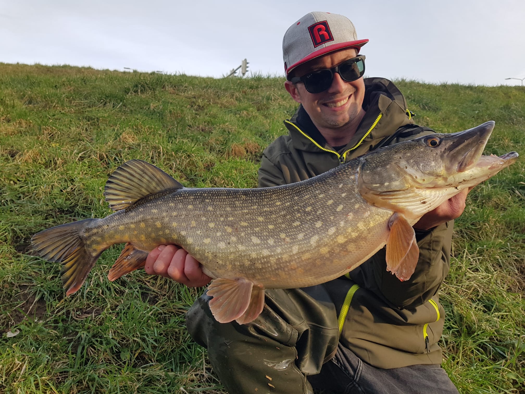 Hit & run – snel snoek vangen!