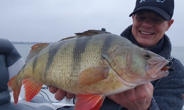 Nooit eerder werd het je zo haarfijn uitgelegd – Dit is hoe je baars en snoekbaars vindt