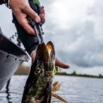 De voor- en nadelen van dreggen, enkele haken & offset hooks