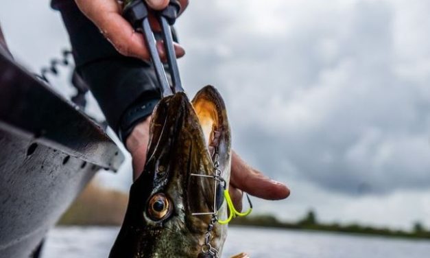 De voor- en nadelen van dreggen, enkele haken & offset hooks