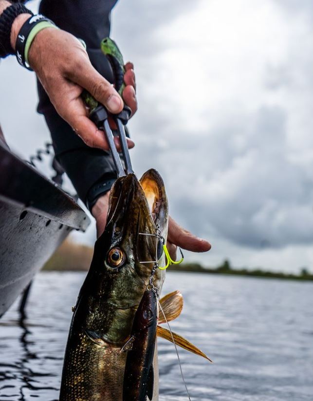 De voor- en nadelen van dreggen, enkele haken & offset hooks
