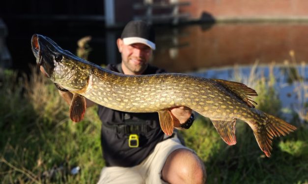Kunstaas estafette – Top 3 kunstaas voor snoek van Kevin van Kampen