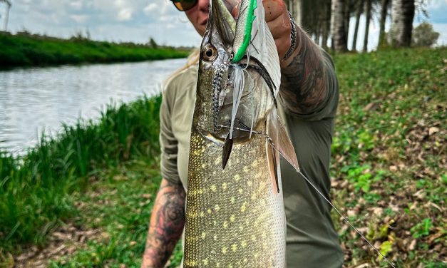 Kunstaas estafette – Top 3 kunstaas voor snoek van Mikky de Boon