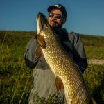 Kunstaas estafette – Top 3 kunstaas voor snoek van Rob Nullens