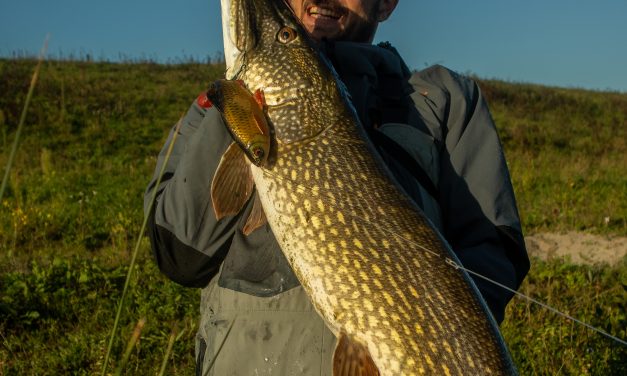 Kunstaas estafette – Top 3 kunstaas voor snoek van Rob Nullens