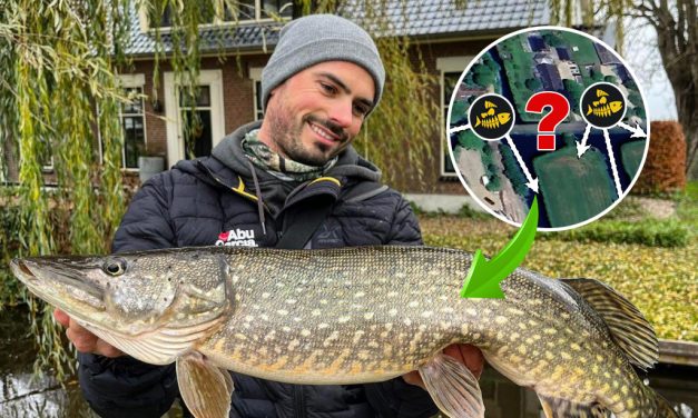 Simon Torenbeek mag SLECHTS 5 keer werpen op een topstek voor snoek
