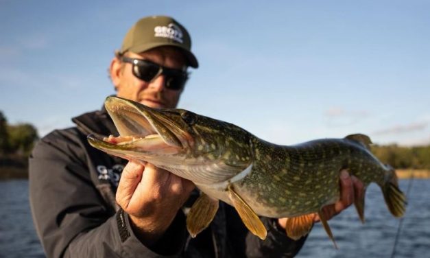 Van softbaits tot pluggen – Zo kies je het juiste kunstaas voor snoek
