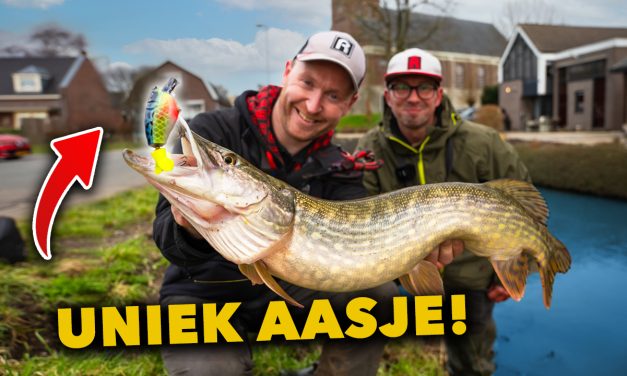 ***VIDEO*** SNOEK in de POLDER! – Dit AASJE kennen ze NIET!