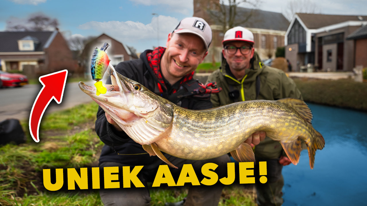 ***VIDEO*** SNOEK in de POLDER! – Dit AASJE kennen ze NIET!