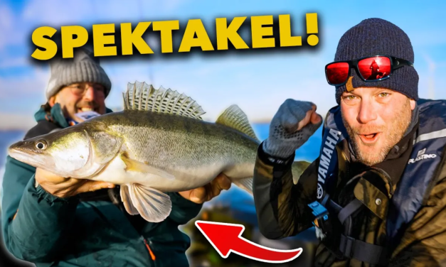 ***VIDEO*** Deze VISTECHNIEK is ONVERSLAANBAAR voor VEEL en GROTE SNOEKBAARS!!!