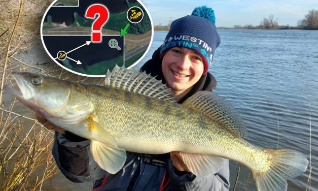 Toon van Ham mag SLECHTS 5 keer werpen op een rivier op snoekbaars