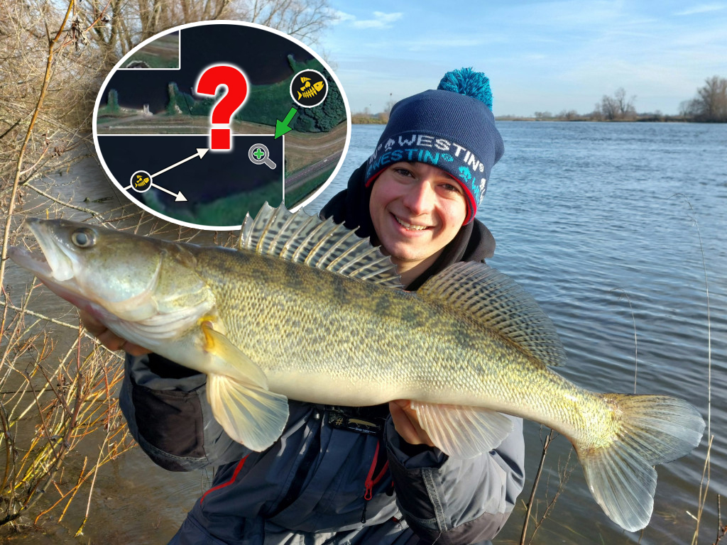 Toon van Ham mag SLECHTS 5 keer werpen op een rivier op snoekbaars
