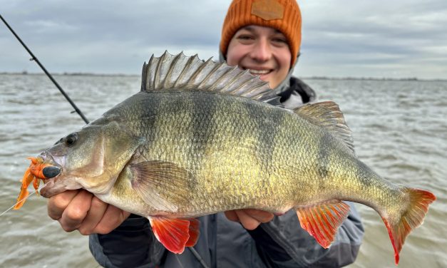 Het geheime wapen van Toon van Ham voor XXL winterbaarzen
