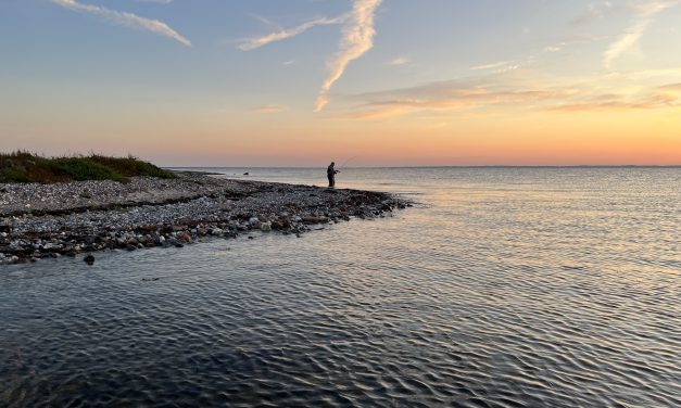 Op jacht naar zilver in azuurblauw water – Zeeforel in Funen