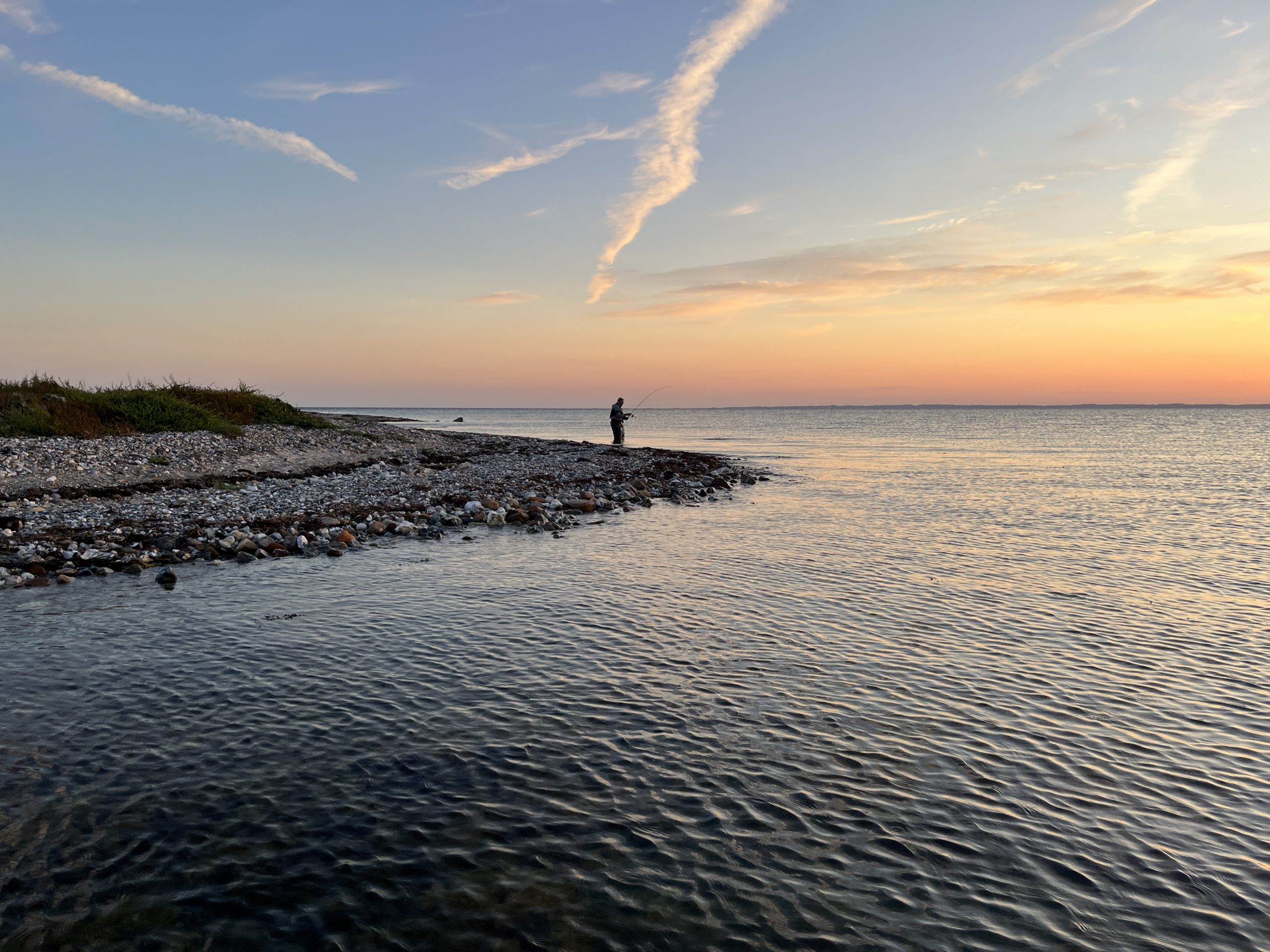 Op jacht naar zilver in azuurblauw water – Zeeforel in Funen