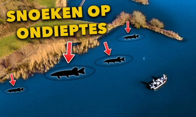 ***VIDEO*** DIKKE METERSNOEK in het VOORJAAR! – HIER ga JIJ ze ook VANGEN!