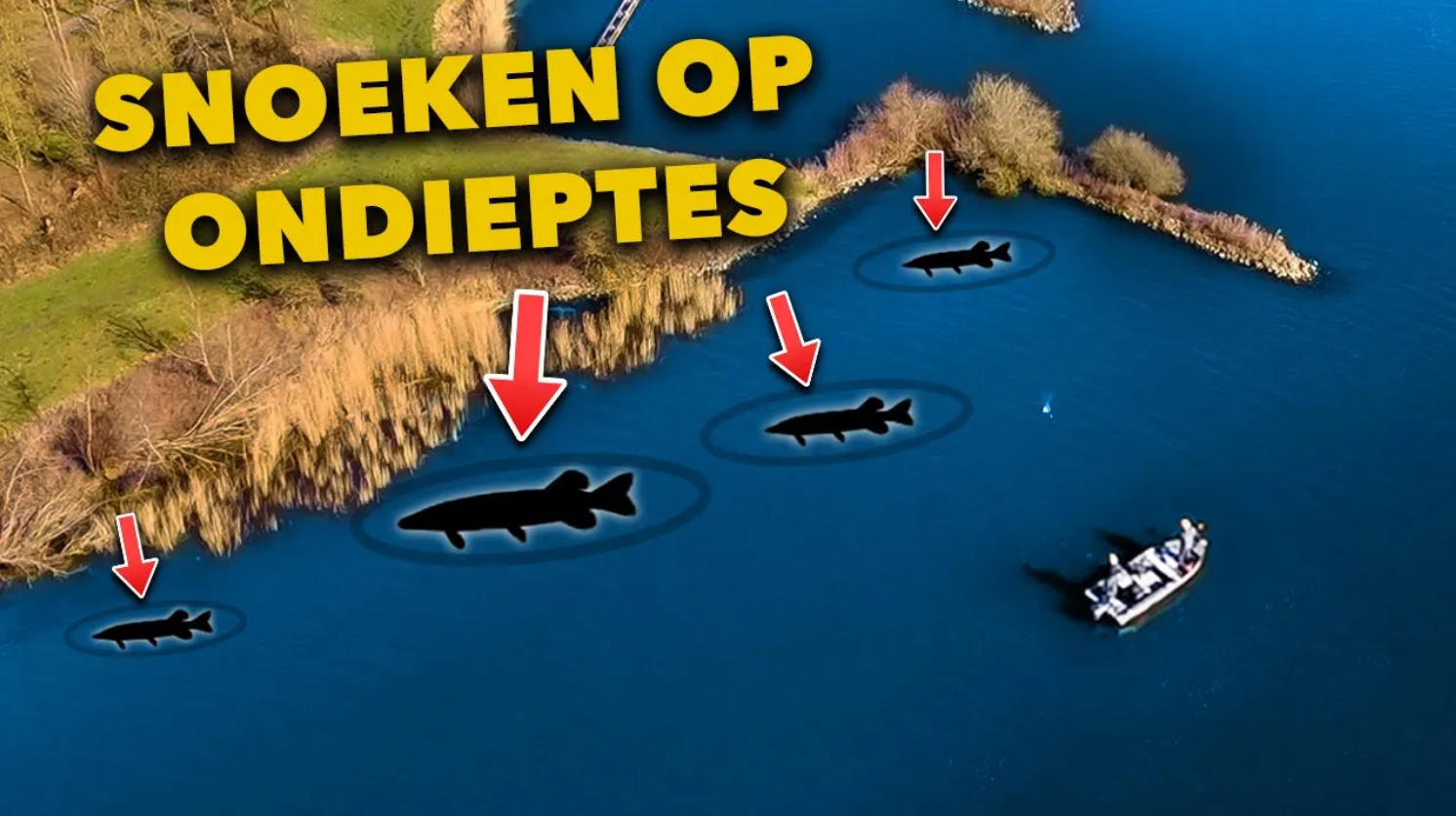 ***VIDEO*** DIKKE METERSNOEK in het VOORJAAR! – HIER ga JIJ ze ook VANGEN!