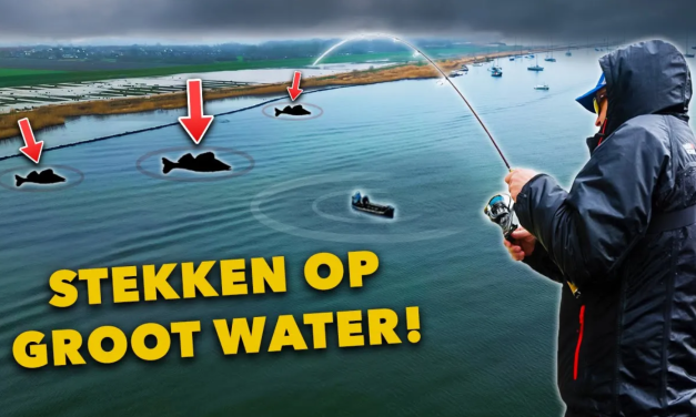 ***VIDEO*** ZO ZOEKEN de PRO’s naar de BESTE ROOFVIS STEKKEN!