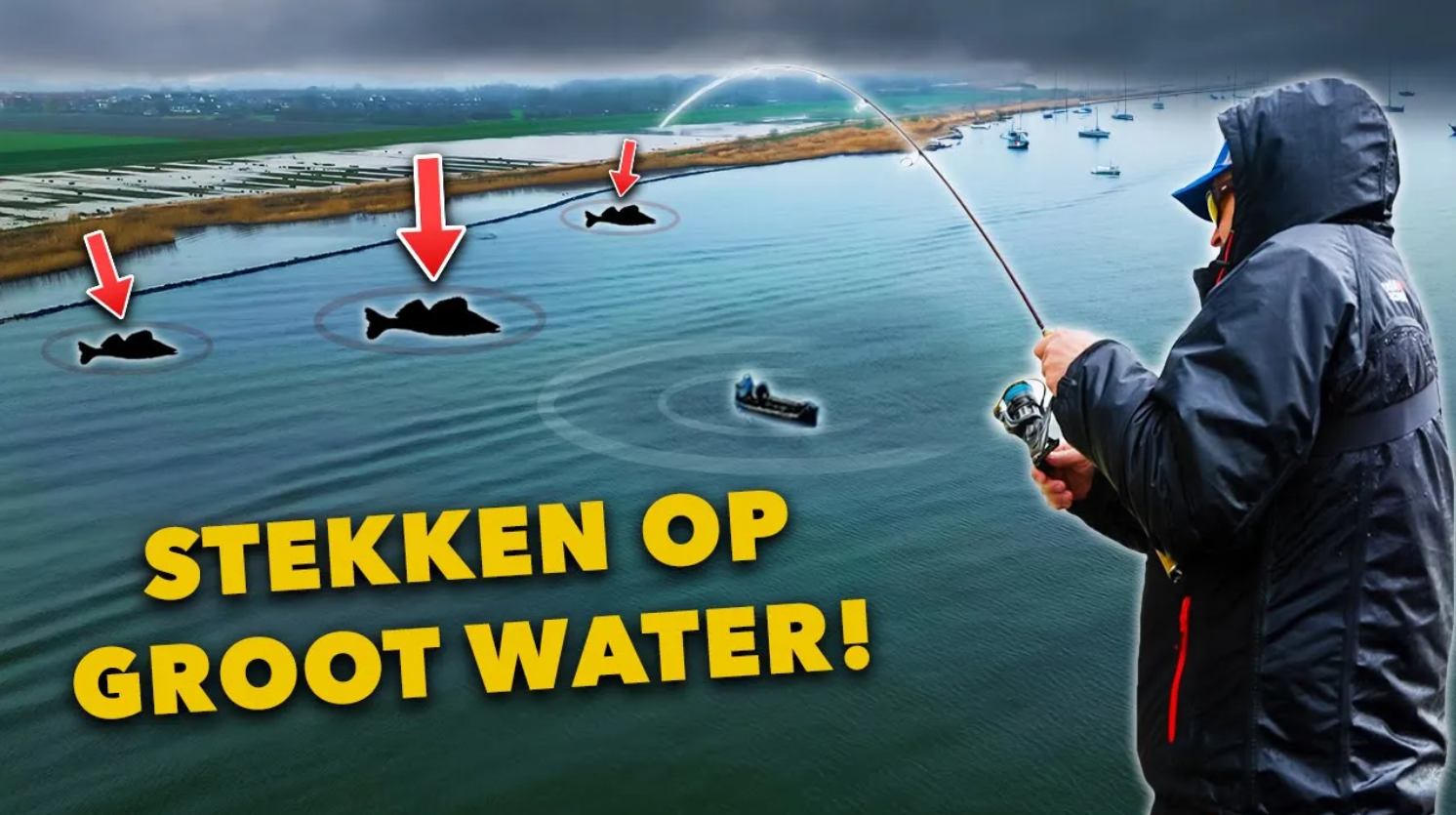 ***VIDEO*** ZO ZOEKEN de PRO’s naar de BESTE ROOFVIS STEKKEN!