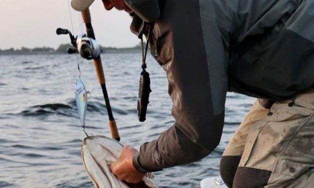 High-end snoekhengels voor polders tot de grootste meren