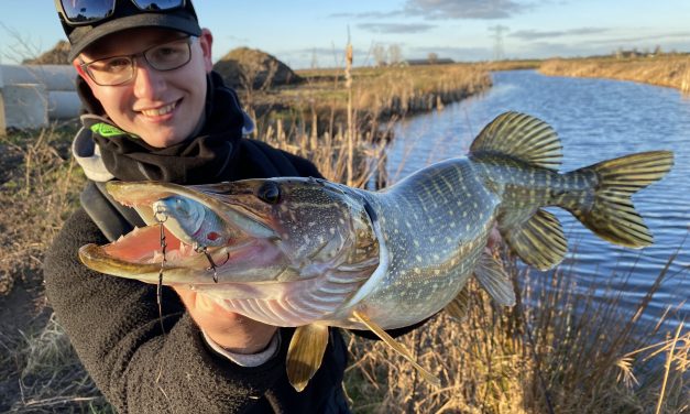 Kunstaas estafette – Top 3 kunstaas voor snoek van Lau Boom