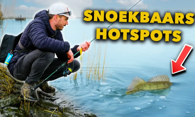 ***VIDEO*** Zo VANG je SNOEKBAARS in het VOORJAAR! – Veel AANBETEN vanaf de KANT