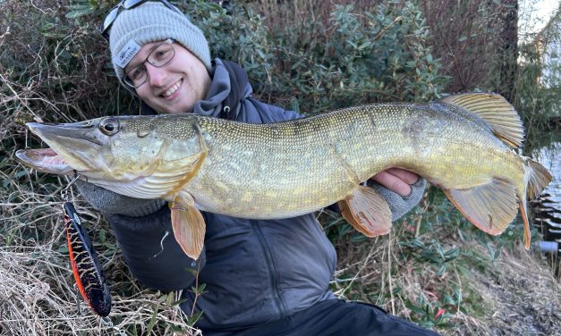 Zijn jerkbaits het beste aas voor snoek in het voorjaar?