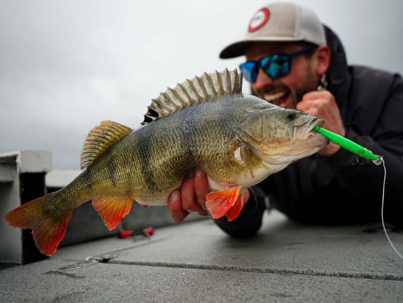 De ideale hardbaits voor baars en snoekbaars!