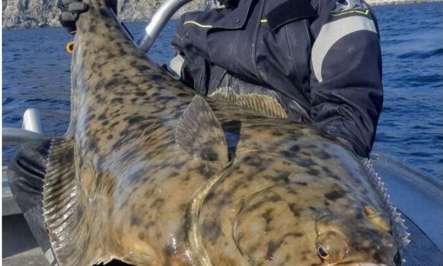 Vissen op de grootste heilbotten in Noorwegen – Ga jij mee?