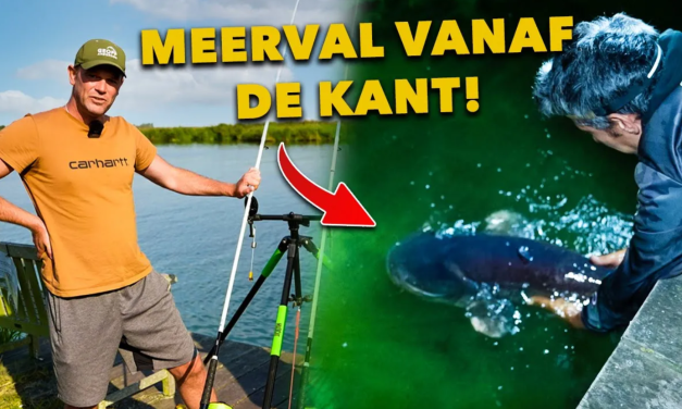 ***VIDEO*** Zo vang jij MEERVAL vanaf de KANT – UITLEG van A tot Z!