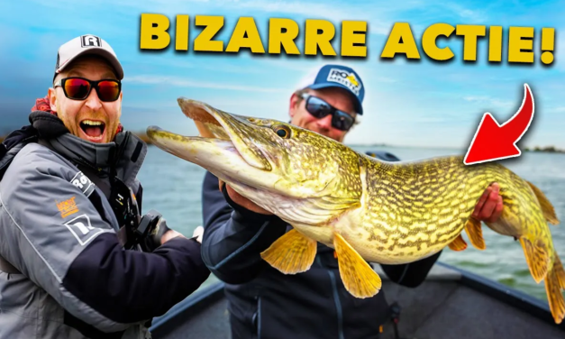 ***VIDEO*** Deze MEGA METER SNOEKEN maken ons HELEMAAL GEK! – JERKBAITS op ONDIEPTES