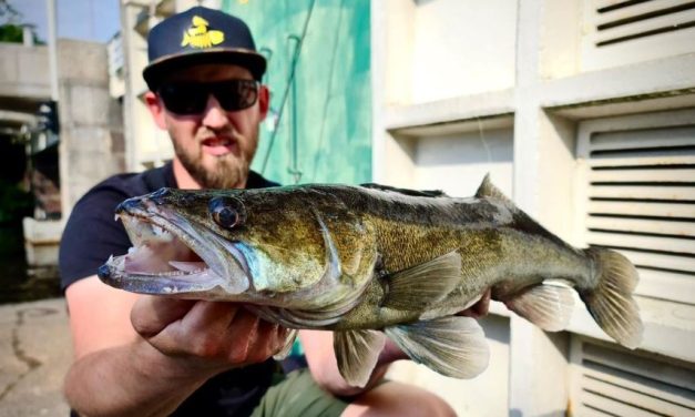 Streetfishing for dummies – Alles wat je moet weten als beginner!