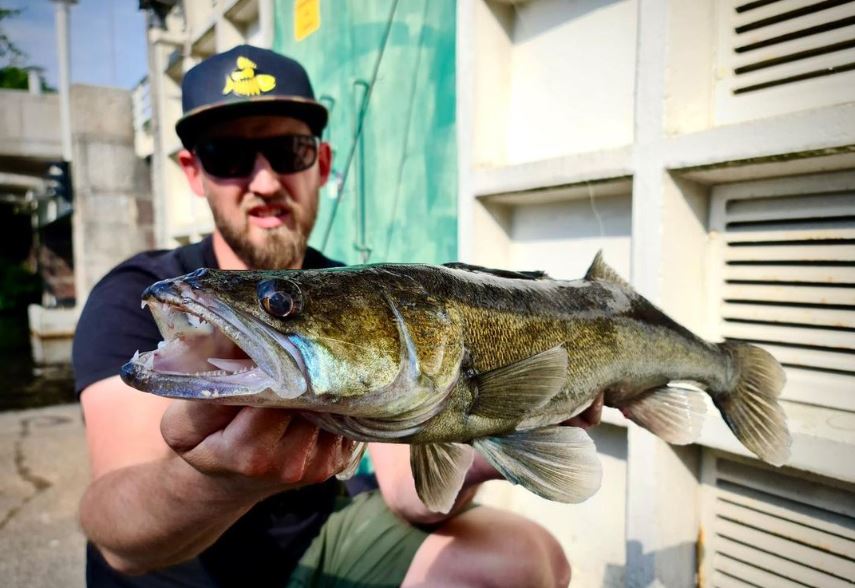Streetfishing for dummies – Alles wat je moet weten als beginner!
