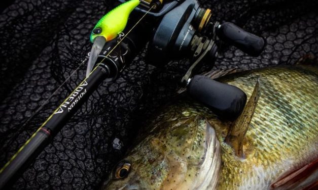 De ultieme setup voor het vissen met crankbaits!
