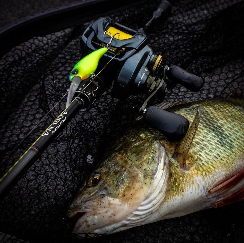 De ultieme setup voor het vissen met crankbaits!