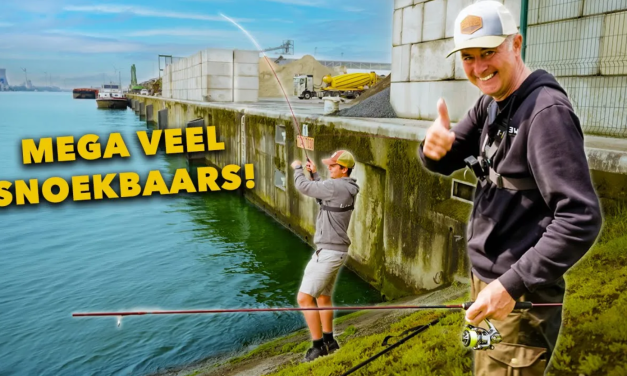 ***VIDEO*** DIT is de BESTE TECHNIEK voor elke KANTVISSER! – DROPSHOT UITGELEGD