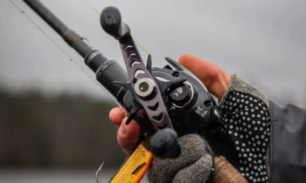 Alles over de nieuwste reels van Westin!