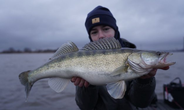 Kunstaas estafette – Top 3 kunstaas voor snoekbaars van Mats van Dijk