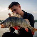 Kunstaas estafette – Top 3 kunstaas voor baars van Mike Peeters