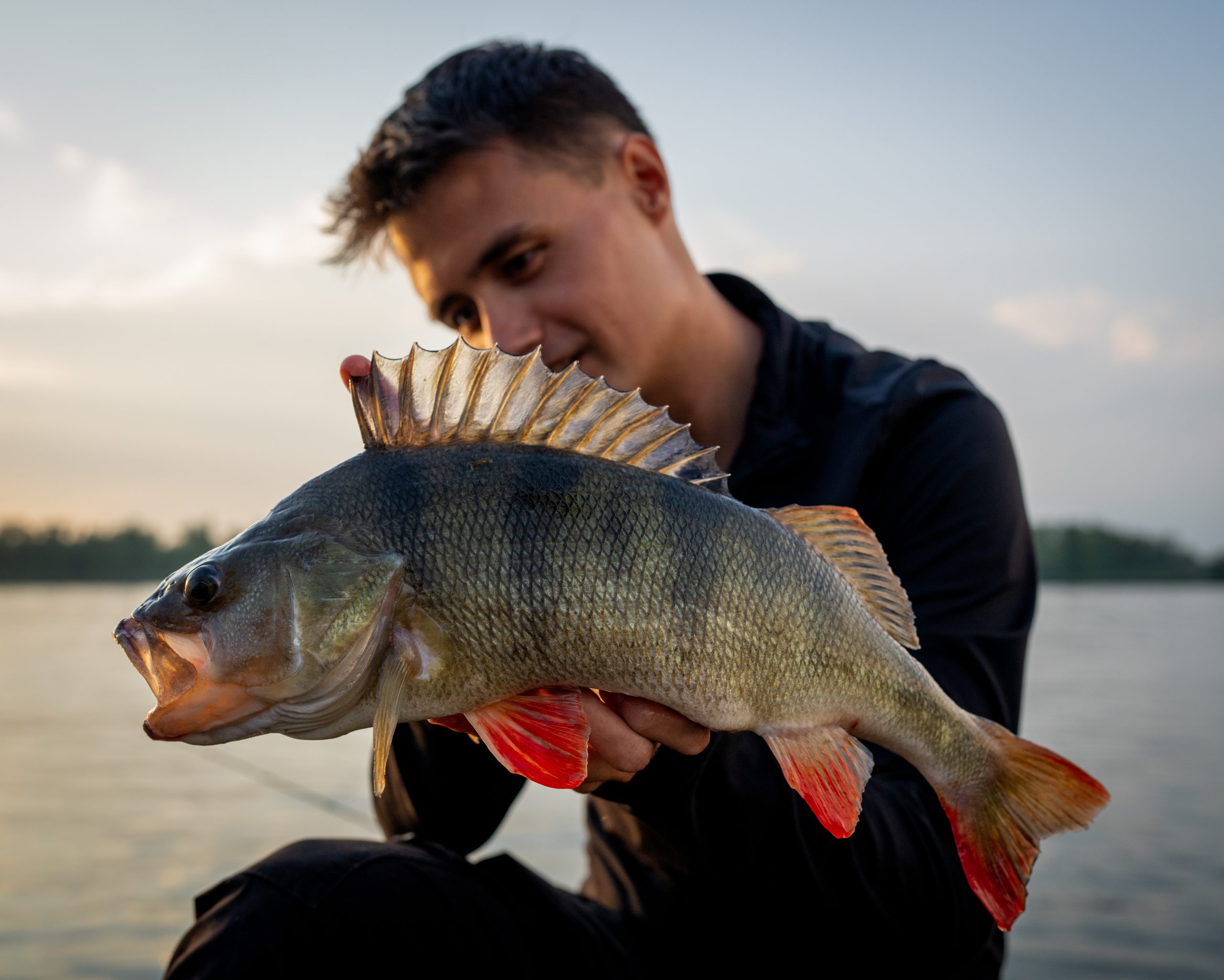 Kunstaas estafette – Top 3 kunstaas voor baars van Mike Peeters