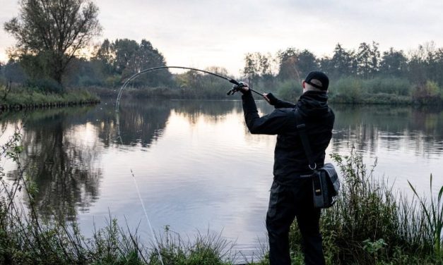 Snoekvissen met Shimano – Drie hengels, drie prijsklassen, onbegrensde mogelijkheden!