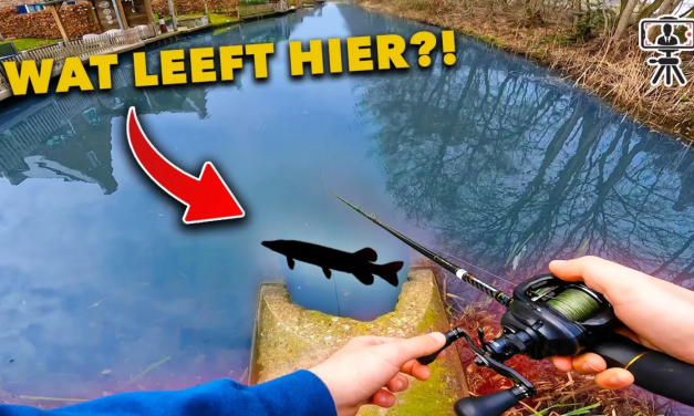 ***VIDEO*** SNOEKEN ADRENALINE in de WOONWIJK – MEGA HARDE AANBETEN vanaf de kant
