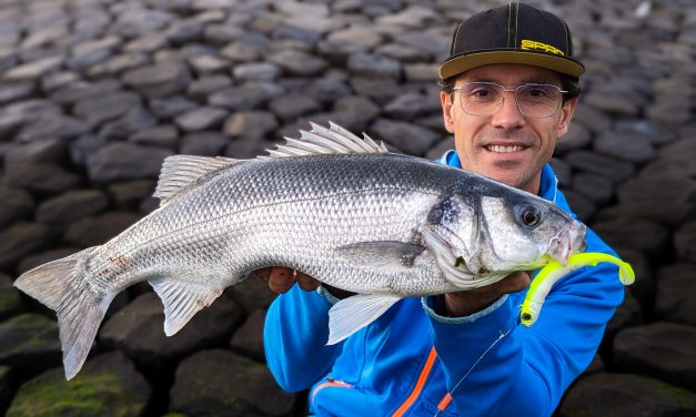 Dit is wat het vissen op zeebaars zo moeilijk maakt – Zoektocht naar stekken