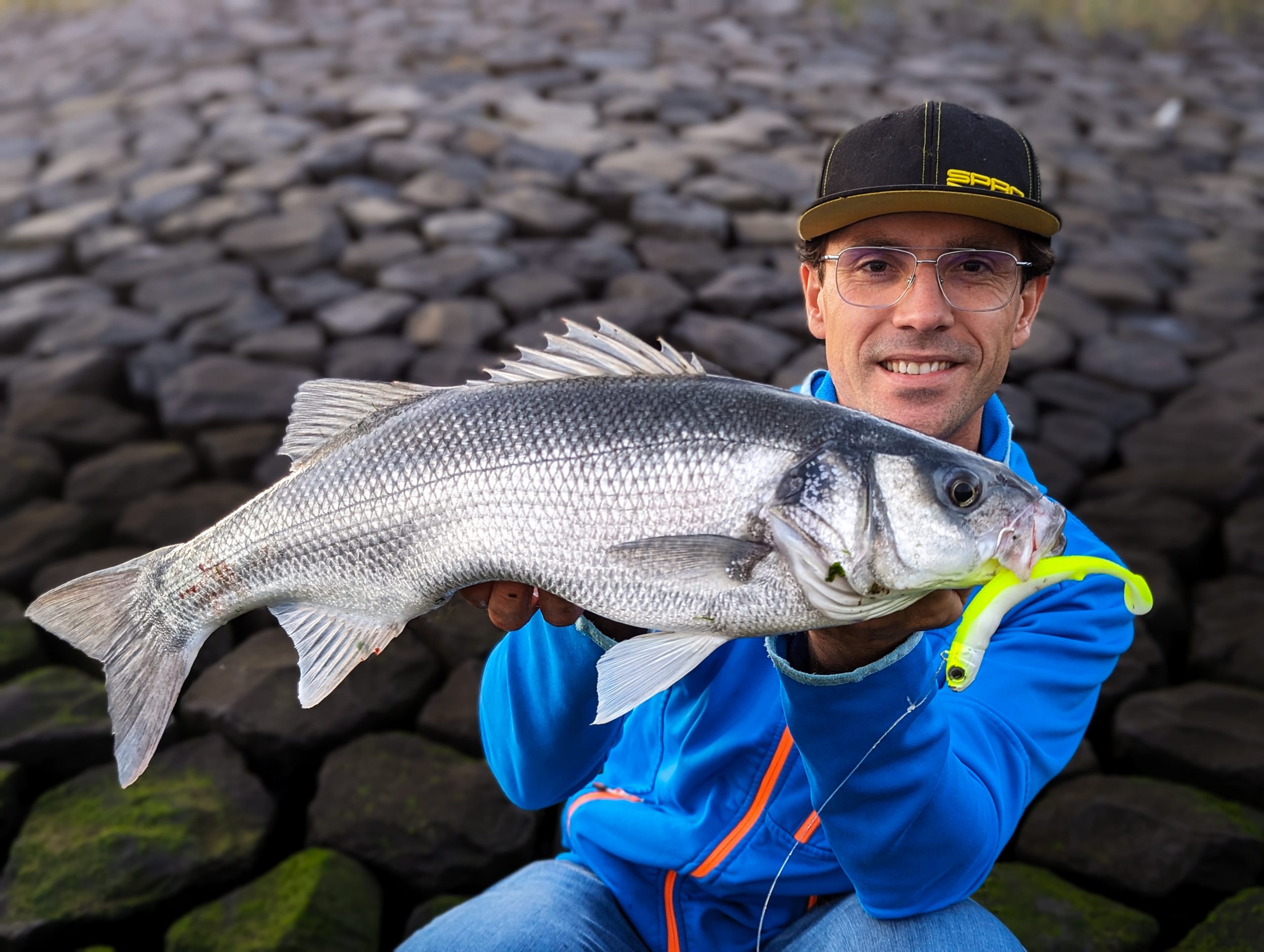 Dit is wat het vissen op zeebaars zo moeilijk maakt – Zoektocht naar stekken