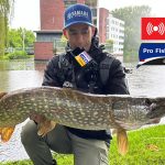 Een ALL-IN Live Blog van de Yamaha Pro Fishing Cup – De leukste roofviswedstrijd