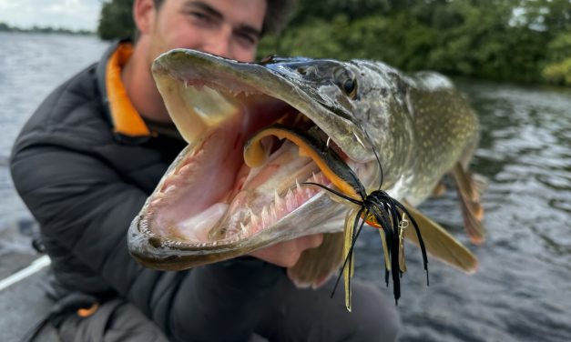 Een ode aan de chatterbait